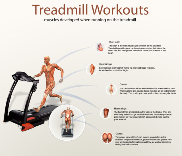 Professional Advice Regarding Treadmill Use