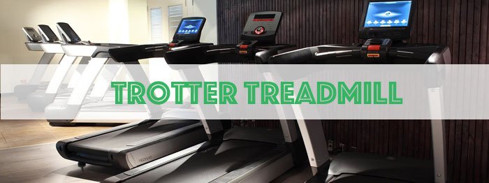Trotter Treadmill